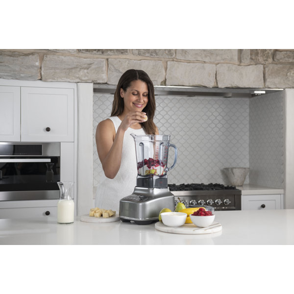 Breville the Q™ Countertop Blender & Reviews Wayfair